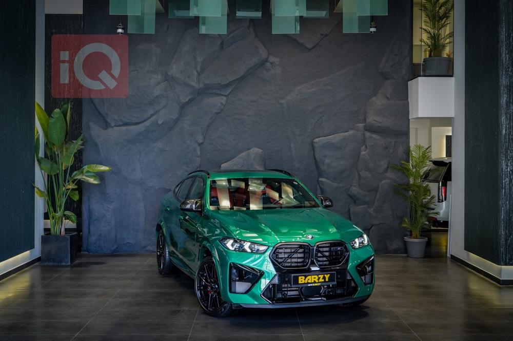 بي ام دبليو X6